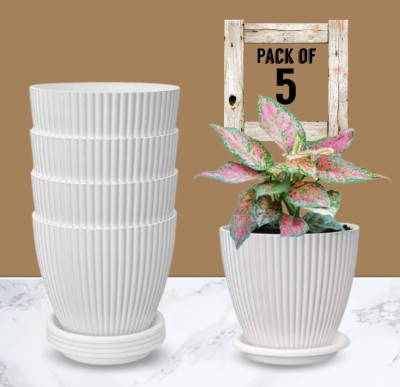 Nursery Hub Premium White flower Planters gamla Pots plant pots Plant Container Set(Pack of 5, Plastic)