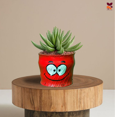HUNAR TRIBE HH001 Plant Container Set(Rubber)