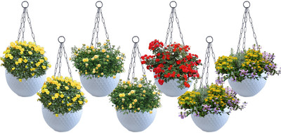 Zobby Beautiful Designed Growing Pots For Home / Office Decoration Plant Container Set(Pack of 7, Plastic)