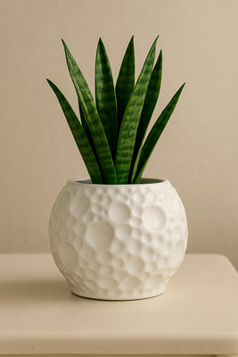 YUTORI White Ceramic Planter Pot – Modern Round Moon Design For Indoor & Outdoor Décor Plant Container Set(Ceramic)