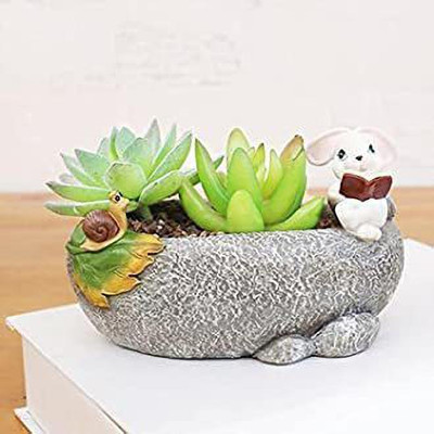 Vermartcraft Rabbit reading Book Resin Flower Pot and Pen holder Plant Container Set(Poly-Resin)