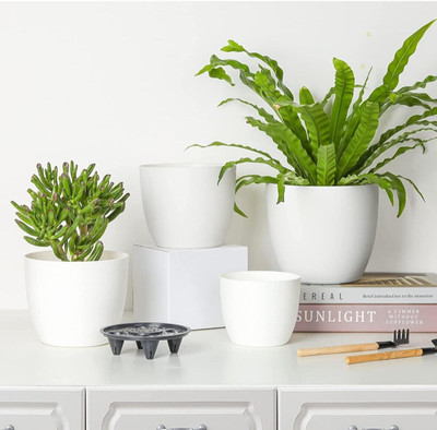 Muddstyles EcoBloom Multi-Pot Decorative Plant Container Set Plant Container Set(Pack of 4, Plastic)