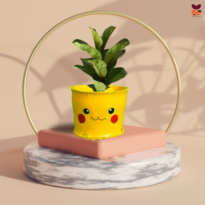 HUNAR TRIBE HH012 Plant Container Set(Rubber)