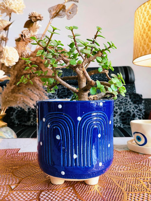 Niyara Plant Container Set(Ceramic)