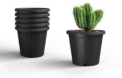 Dervino Nursery Pots Pack of 6 Black 8 inch Garden /terrace beauty to grow small plants Plant Container Set(Pack of 6, Plastic)