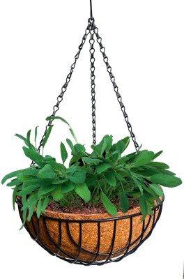 Nana nana_12 hanger Plant Container Set(Wood, Metal)