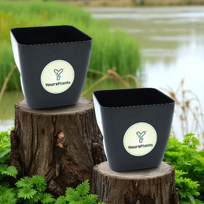 YoursPlants Black 6.5inch Siena (w17cm X h16cm) Corner Planters -Indoor / Outdoor Plant Container Set(Pack of 2, Plastic)