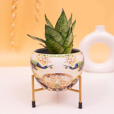Arwan Arwan meena pot/ table pot/ indoor apple pot Plant Container Set(Metal)