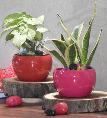 SONE KEY CHIDIYA Plant Container Set(Pack of 2, Metal)