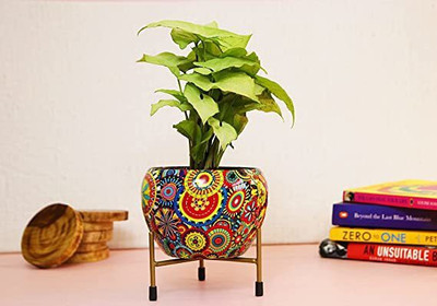 Nayra Meena Pots Plant Container Set(Metal)