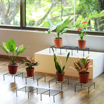 TrustBasket Indigo Plant Stand Set of 4 Black Plant Container Set(Pack of 4, Metal)