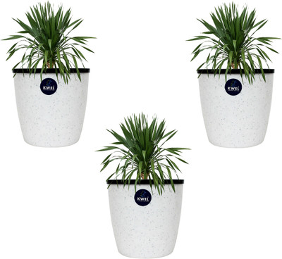 KWEL Self Watering Flower pots 5” Virgin Plastic Indoor Outdoor Balcony Flower Pot with Outer and Inner Flower Pot Plant Container Set(Pack of 3, Plastic)