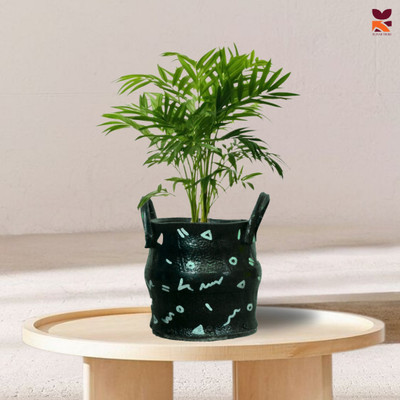 HUNAR TRIBE MM014 Plant Container Set(Rubber)