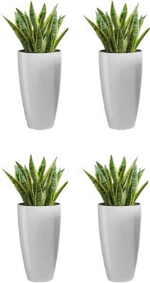 BloomBins BLESSEDVIBES Plastic Tower Pot 8 Inch Flower Pot for Home office Garden Balcony Plant Container Set(Pack of 4, Plastic)