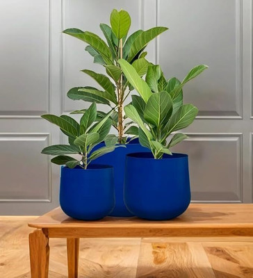 DECO BAY Plant Container Set(Pack of 3, Metal)
