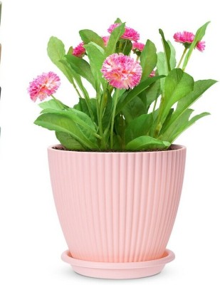 RABBONIX Round Flower Pots for Home Planters, Terrace, Garden Etc | Home Indoor & Outdoor Plant Container Set(Pack of 5, Plastic)
