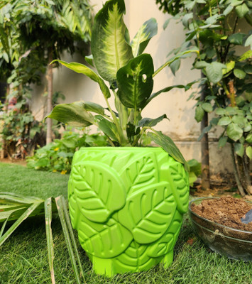 Botanic bliss green leaf Plant Container Set(Plastic)