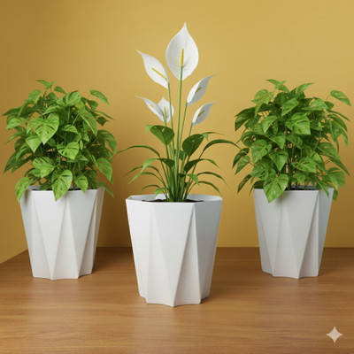 amantraa Star/Diamond indoor outdoor plant pot (10 Inch, White ) Plant Container Set(Pack of 3, Plastic)