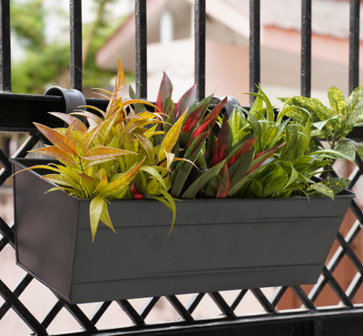 GOLD DUST Railing Planters for Balcony, Detachable Handle (Rectangle Grey Pack 4) Plant Container Set(Pack of 4, Metal)
