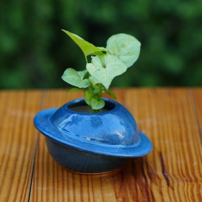 Plantlane Ceramic Classic Cap Pot for Plants (Blue) Plant Container Set(Ceramic)