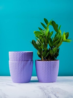 KAMAL INTERIORS Plastic Plant Pots for Home Decor | Indoor Plant Pots for Living Room Plastic Vase(12.7 inch, Purple)