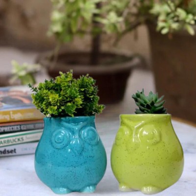 Jimkia Ceramic Planter Pot Owl Shape For Home & Garden Decor (Plant Not Included) Plant Container Set(Pack of 2, Ceramic)