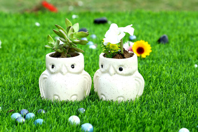 Jimkia Ceramic Hancrafted Succulent Planter Pot Plant Container Set(Pack of 2, Ceramic)