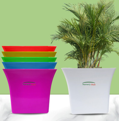 Nursery Hub (Pack of 6) Premium Quality Square Shape 8 inch Size Planters Pots Plant Container Set(Pack of 6, Plastic)
