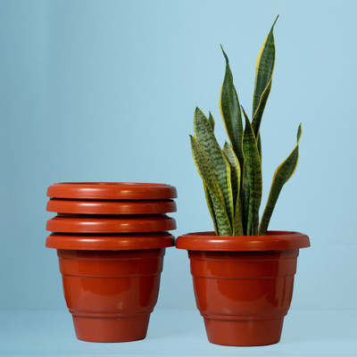 Besttrader 10 Inch Flower Pot for Home(5 Pcs, BROWN), Indoor & Outdoor Gamla, Gardening Big Plant Container Set(Pack of 5, Plastic)