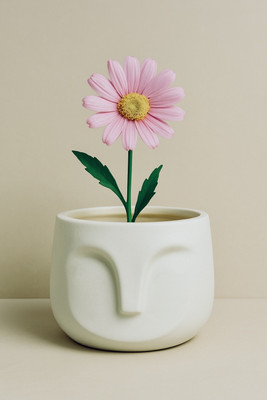 YUTORI Nose Pot Planter For Indoor Home Décor, Office Desk Planters for Table Top White Plant Container Set(Ceramic)