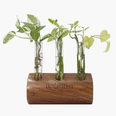 lazy gardener Test Tube Planter with Wooden Stand | Timber Grove Wall Mount Plant Container Set(Wood)