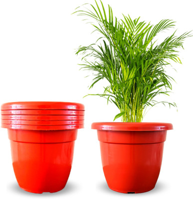 SNSHOPEE 10 inch dia. Plant Vase Planters Flower Pots Plant Container Set(Pack of 6, Plastic)