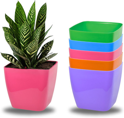 Meepo Square Sterling Planter Plant Container Set(Pack of 5, Plastic)