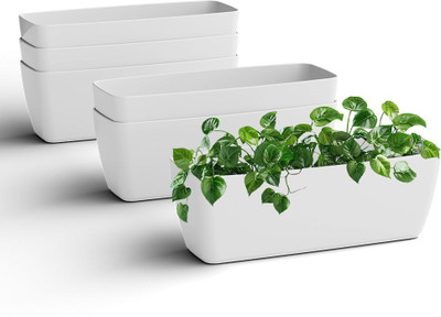 Yuccabe Italia SHERA CABI 16 Inch Flower Tray Planter | Unbreakable Indoor & Outdoor Pots Plant Container Set(Pack of 6, Plastic)