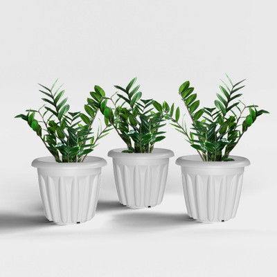 Yuccabe Italia SHERA Floot 10 Inch Plastic Flower Pot Set | Planter for Home Garden & Balcony Plant Container Set(Pack of 3, Plastic)