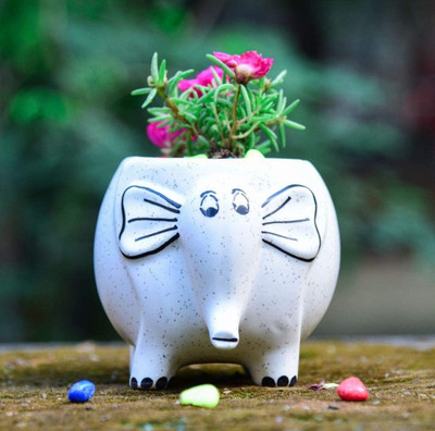 SBC Elephant Shape Ceramic Pot Plant Container Set(Ceramic)