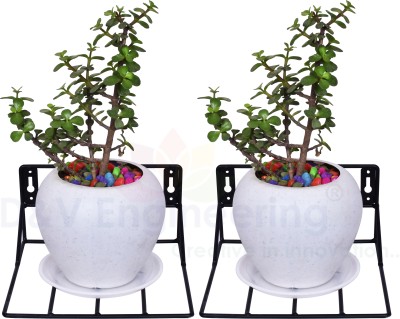 D&V ENGINEERING Wall Mount Pot Stand | Hanging Plant holder| Plant Stand | Balcony wall planter Plant Container Set(Pack of 2, Metal)