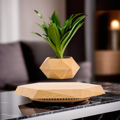 Ekhasa Brown Magnetic Levitating Flower Pot | Levitating Plant Pot | Floating Plant Pot Plant Container Set(Poly-Resin)