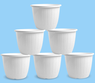 SNSHOPEE (Pack of 6) Decorative 10 inch dia. White Plant Pots Vase Planters Flower Pots Plant Container Set(Pack of 6, Plastic)