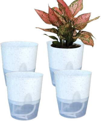 KUMUDAM Self Watering Pots-White For Indoor/Outdoor Plants/ Home/Office Use Plant Container Set(Pack of 4, Plastic)