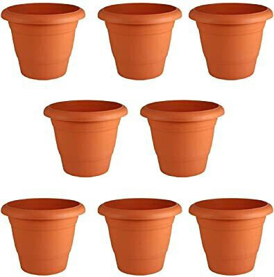 CACTUS VARIETIES 8 Inch Round Garden Plastic Planters Plant Container Set for indoor/outdoor pot Plant Container Set(Pack of 8, Plastic)