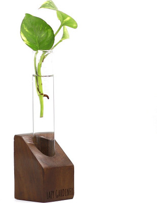 lazy gardener Timber Grove Solo Table Top (Pack of 1) Plant Container Set(Wood)