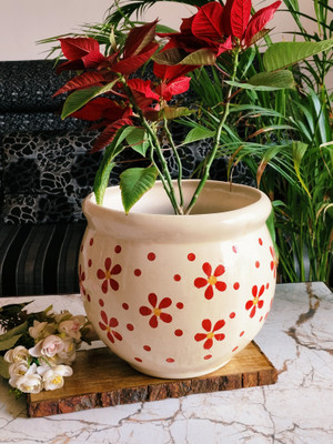 Niyara Red warm 11 inches pot Plant Container Set(Ceramic)