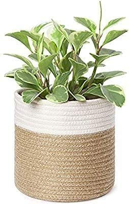 Beautiful Hommies Foldable Laundry Storage Bin Plant Container Set(Fabric)