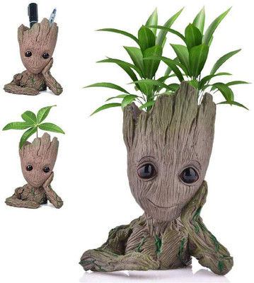The Potter Groot Flower Planter Tree Man Succulent Planter Face Planters Pot Plant Container Set(Poly-Resin)