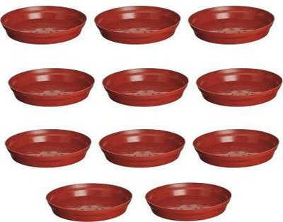 VirajSanchi 8 Inches Wide Premium Quality Saucer Base Tray for Pots (Pack Of 11) Plant Container Set(Pack of 11, Plastic)