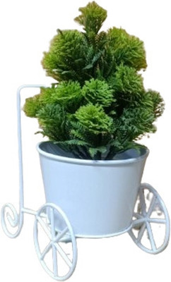 DECORATE DREAMS Table and Floor Planter Pack of 1 (White) Plant Container Set(Metal)