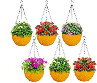 Funtastik Virajsanchi Hanging Pot Pack of 6 Plant Container Set(Pack of 6, Plastic)