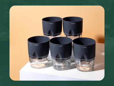 Kyari 5 Self Watering Plastic Planters Indoor Outdoor Balcony Flower Plant Pot with Plant Container Set(Pack of 5, Plastic)