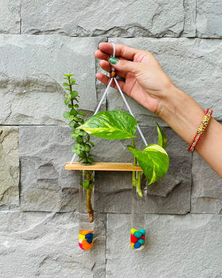eeka Eye Soothing Beautiful Hanging Glass Propagation Planter Plant Container Set(Glass, Wood)
